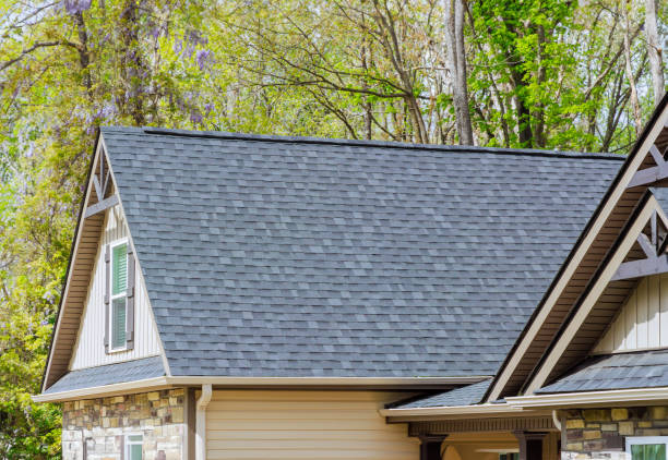 Best Roof Insulation Installation  in Winsted, MN